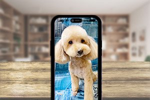 ユマニテのコラム