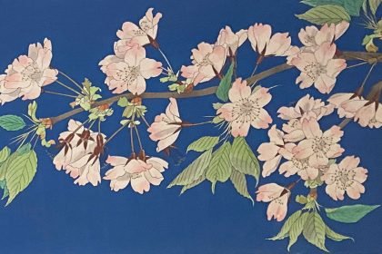 中島千波「碧色大島桜